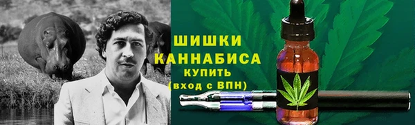 молекула духа Белокуриха