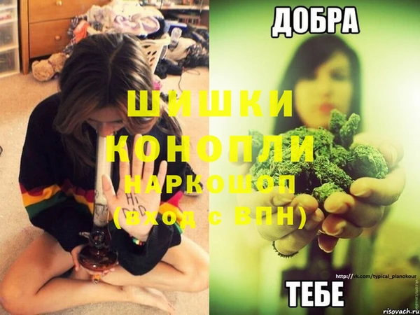 молекула духа Белокуриха